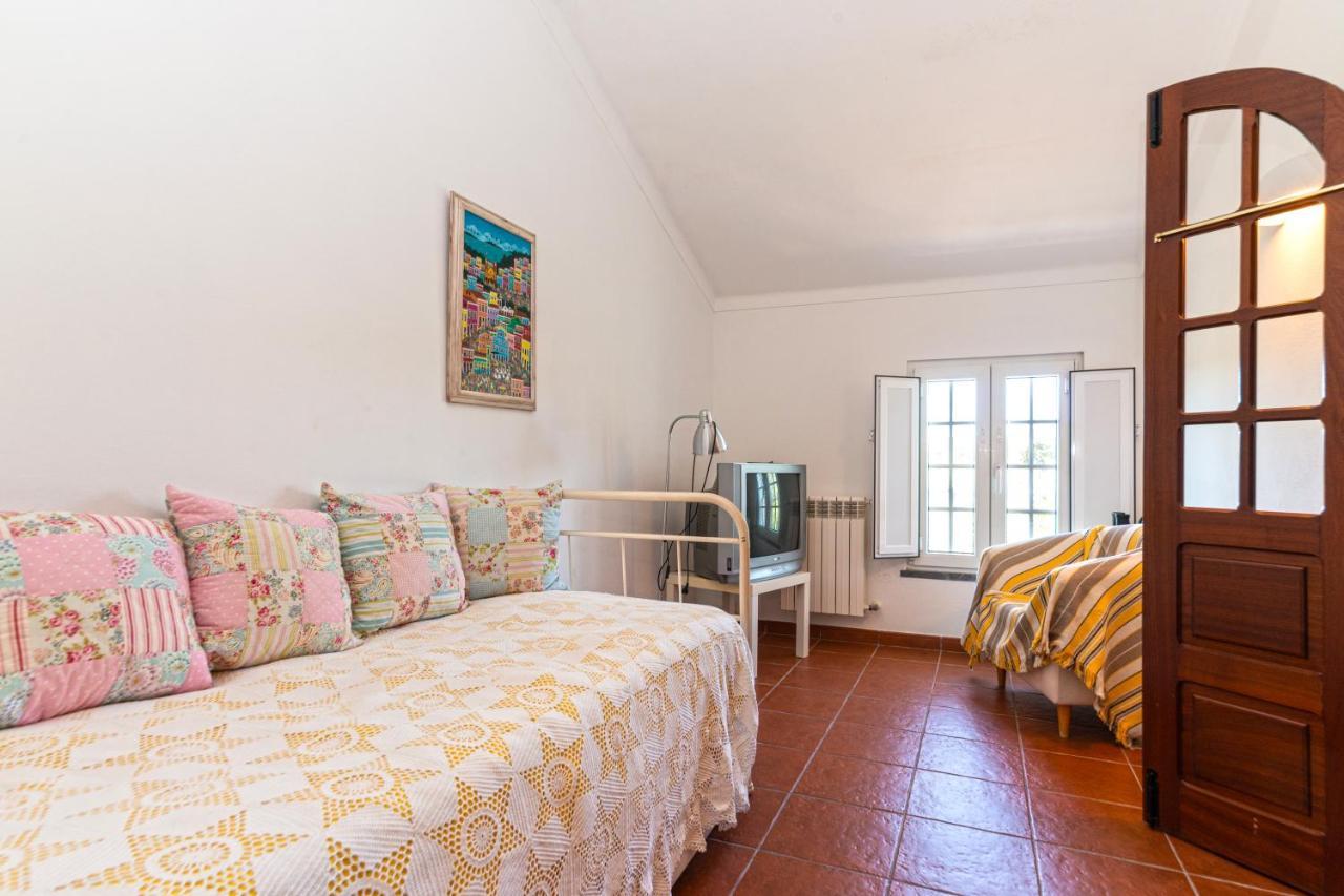 Cerca Velha Alentejo House *